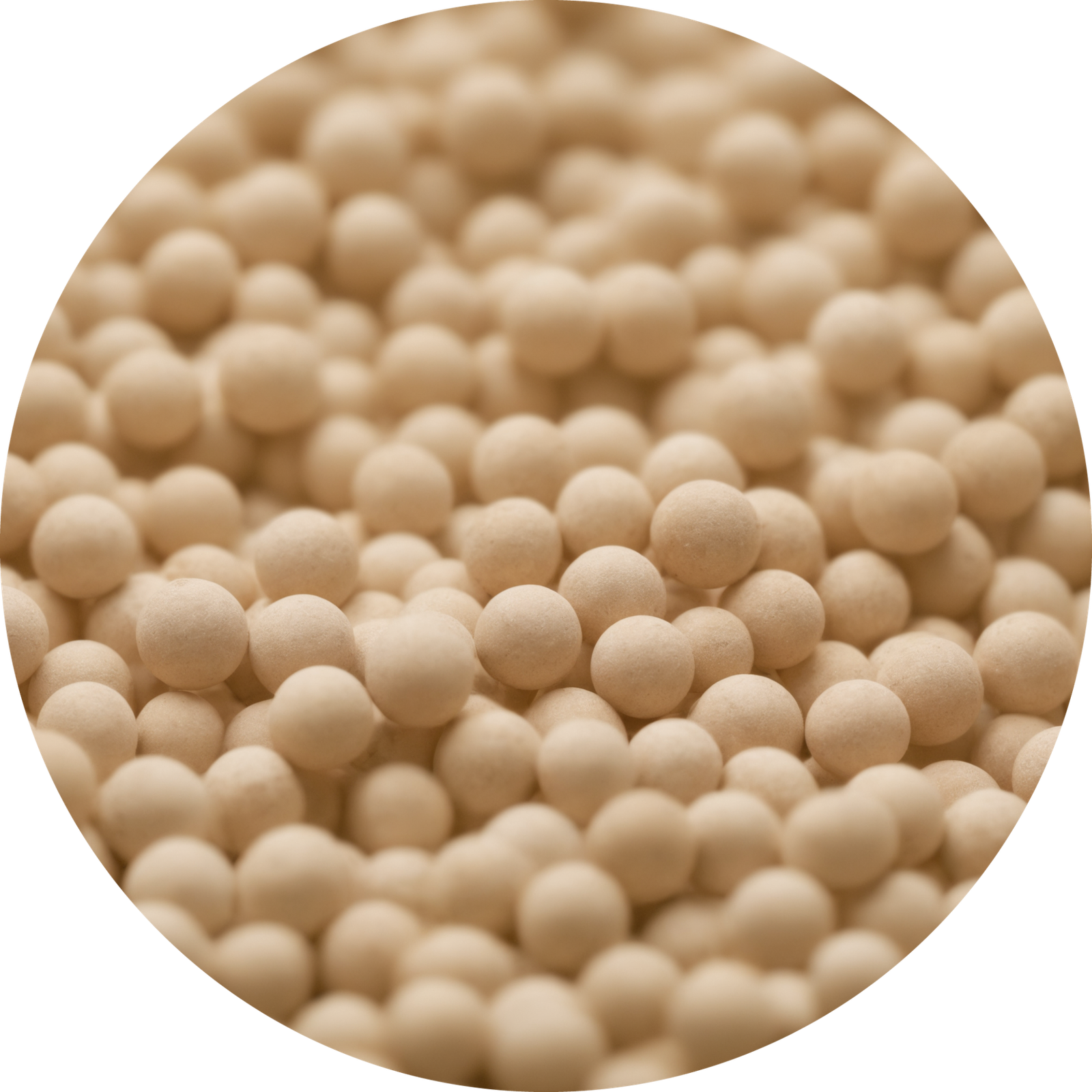 Probiosanus - 100% natūralios skalbimo ir valymo priemonės